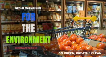Food Miles: The Hidden Environmental Cost of Your Plate