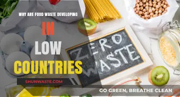 Addressing Food Waste in Low-Income Countries: Challenges and Solutions