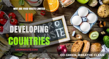 Sustainable Survival: How Developing Countries Minimize Food Waste