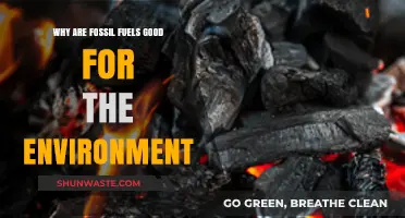 Fossil Fuels' Surprising Environmental Benefits: A Balanced Perspective
