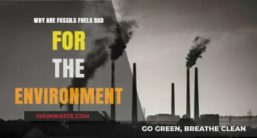 Fossil Fuels' Environmental Impact: Pollution, Climate Change, and Destruction