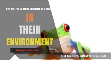 Frogs' Environmental Sensitivity: Unraveling Their Unique Ecological Vulnerability