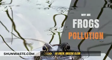 Frogs as Pollution Indicators: Unveiling Environmental Contamination Risks