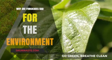 Fungicides' Hidden Costs: Environmental Impacts and Sustainable Alternatives