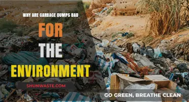 Environmental Hazards: How Garbage Dumps Harm Our Planet and Ecosystems