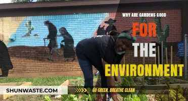Gardens: Nature's Green Heroes for a Healthier Planet