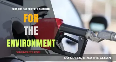 Gas-Powered Cars: Environmental Impact and the Need for Change