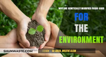 Genetically Modified Foods: Eco-Friendly Solutions for a Sustainable Future