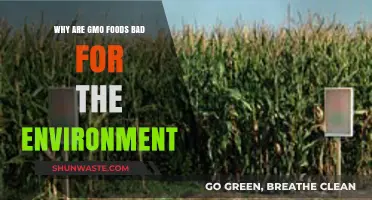 GMO Foods' Environmental Impact: Harmful Effects on Ecosystems and Biodiversity