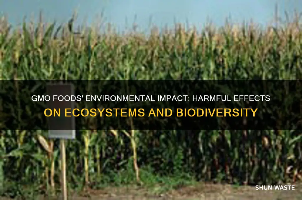 why are gmo foods bad for the environment