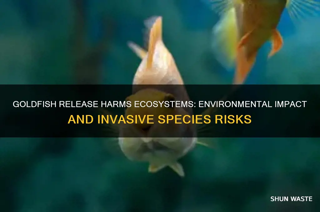 why are goldfish bad for the environment