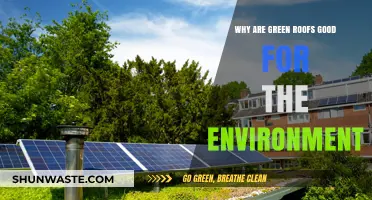Green Roofs: Eco-Friendly Solutions for Sustainable Urban Environments