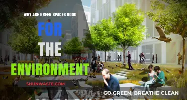 Green Spaces: Environmental Benefits and Their Impact on Our Planet
