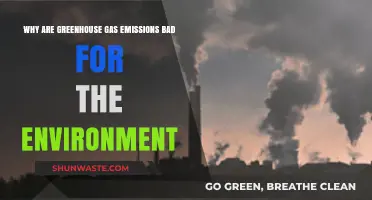 Greenhouse Gas Emissions: Their Devastating Impact on Our Planet's Health