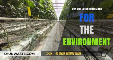 Greenhouses' Environmental Impact: Uncovering Hidden Ecological Costs and Concerns