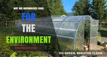 Greenhouses: Eco-Friendly Solutions for Sustainable Agriculture and Climate Resilience