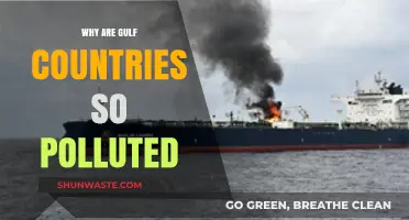 Gulf Countries' Pollution Crisis: Causes, Impacts, and Urgent Solutions