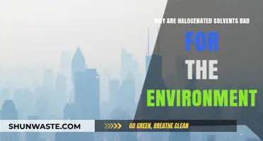 Halogenated Solvents: Environmental Hazards and Sustainable Alternatives Explained