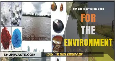 Heavy Metals' Toxic Impact: Environmental Hazards and Long-Term Consequences