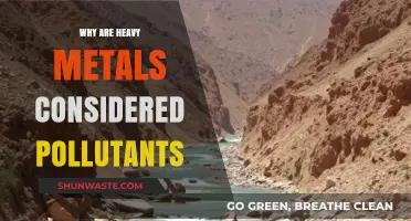 Heavy Metals: Toxic Threats to Ecosystems and Human Health Explained