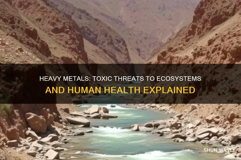 why are heavy metals considered pollutants