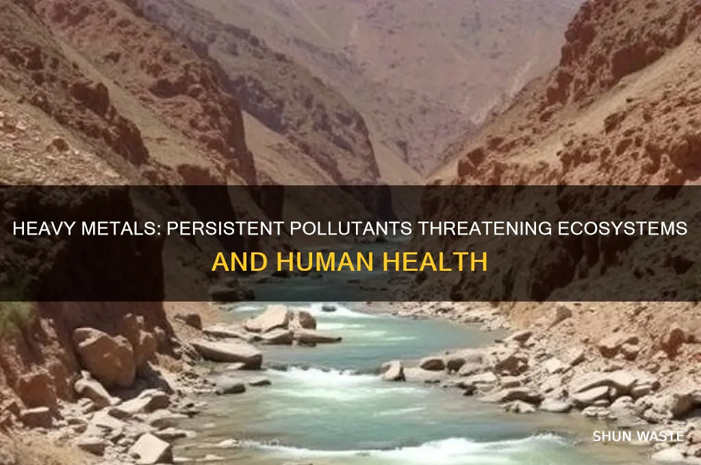 why are heavy metals such an important non degradable pollutant
