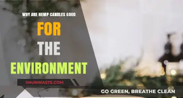 Eco-Friendly Hemp Candles: Sustainable Benefits for a Greener Planet