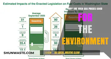 High Gas Prices: Unintended Environmental Benefits and Sustainable Shifts