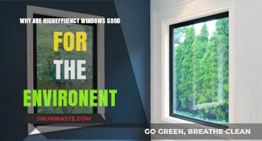 Eco-Friendly Living: How High-Efficiency Windows Benefit Our Planet