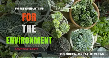 Houseplants' Hidden Impact: Uncovering Their Surprising Environmental Drawbacks