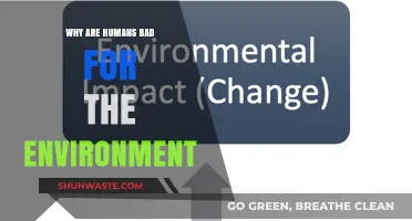 Human Impact: How Our Actions Harm the Environment
