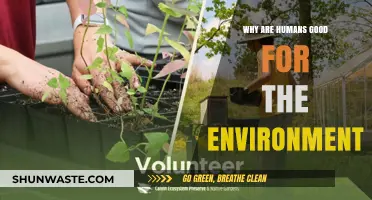Humans as Eco-Stewards: Positive Impacts on Our Environment