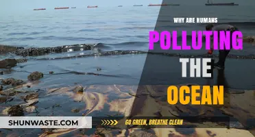 Human Actions, Ocean's Crisis: Uncovering the Roots of Marine Pollution