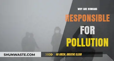 Human Actions, Environmental Impact: Our Role in Global Pollution Crisis