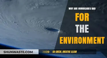 Hurricanes' Devastating Environmental Impact: Destruction, Erosion, and Ecosystem Disruption