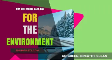Hybrid Cars' Hidden Environmental Costs: Myths vs. Reality