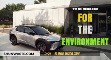 Eco-Friendly Hybrids: Reducing Emissions and Saving Energy for a Greener Future