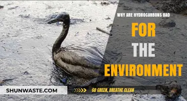 Hydrocarbons' Harmful Impact: Environmental Consequences and Sustainable Alternatives