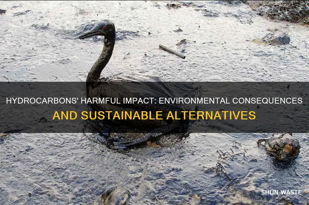 why are hydrocarbons bad for the environment