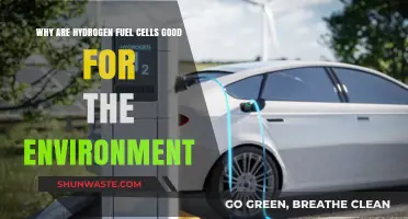 Hydrogen Fuel Cells: A Clean, Sustainable Energy Solution for Our Planet