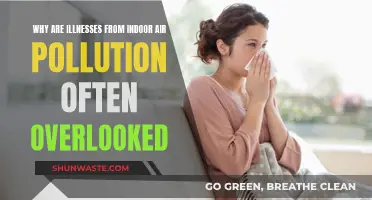 Indoor Air Pollution: The Silent Health Crisis
