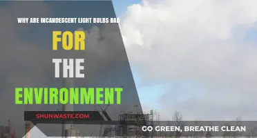 Incandescent Bulbs: Environmental Impact and Energy-Efficient Alternatives