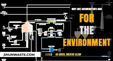 Incinerators' Environmental Impact: Pollution, Health Risks, and Sustainable Alternatives