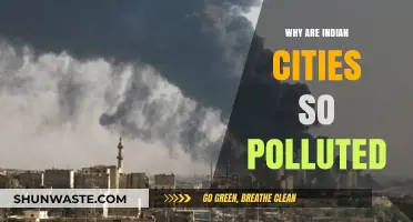 Urban Air Crisis: Unraveling India's City Pollution Epidemic
