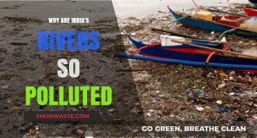 India's Rivers in Crisis: Causes and Consequences of Pollution