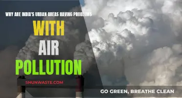 Urban India's Air Pollution Crisis: Why It's Happening