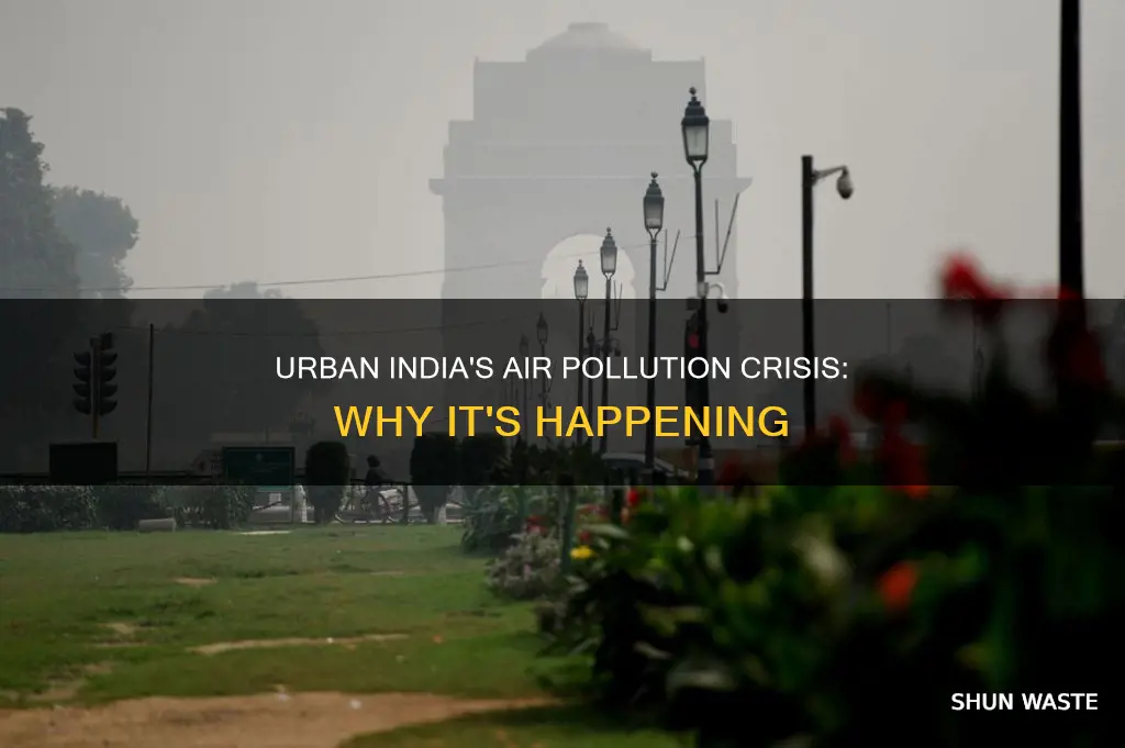 why are india
