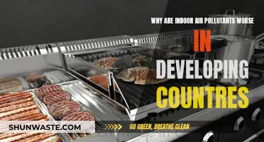 Developing Countries: Indoor Air and Health Hazards