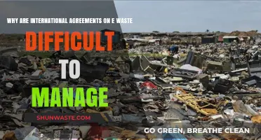 Navigating the Complex Landscape of Global E-Waste Management Challenges