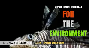 Invasive Species: Environmental Threats and Ecosystem Disruption Explained